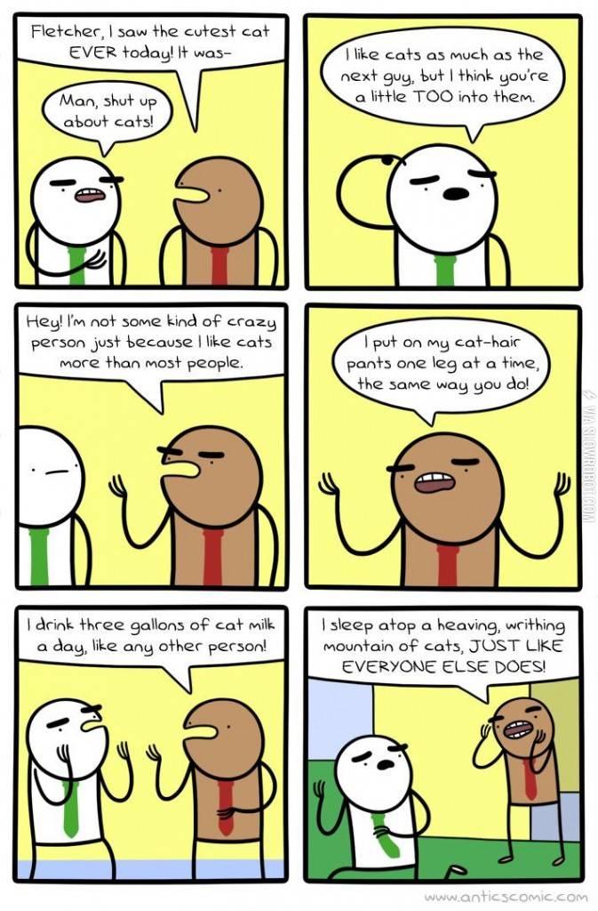 Cat+crazy.
