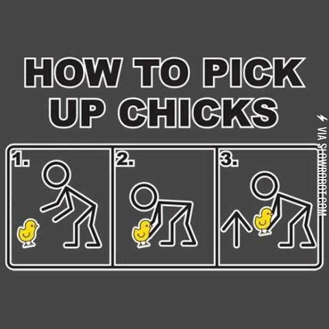 How+to+pick+up+chicks.