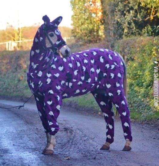 A+horse+in+pajamas.