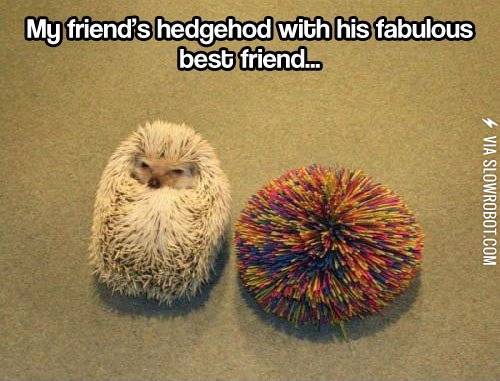 Best+friends%26%238230%3B