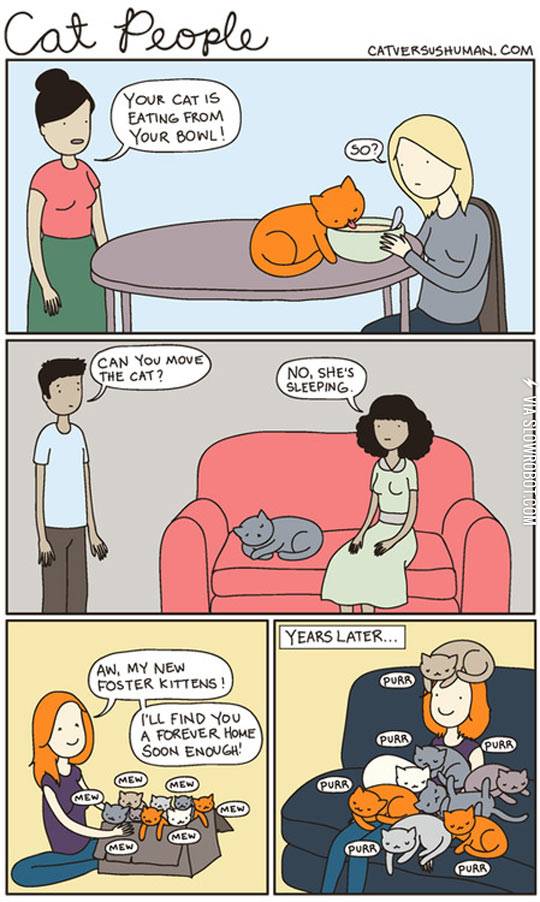 Cat+people.