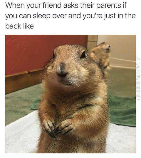 It+was+always+a+tense+moment