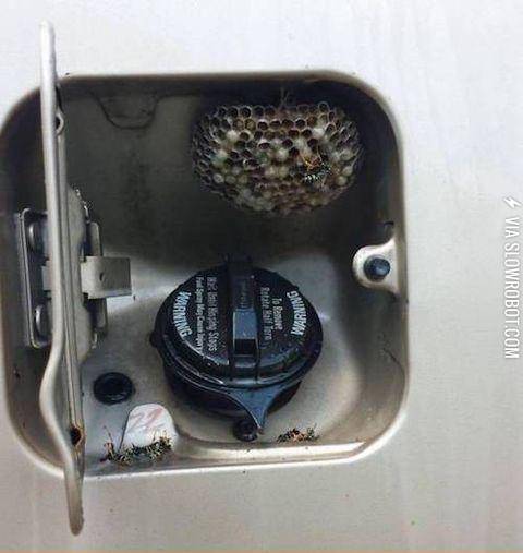 I+guess+I%26%23039%3Bm+walking%26%238230%3B+Forever