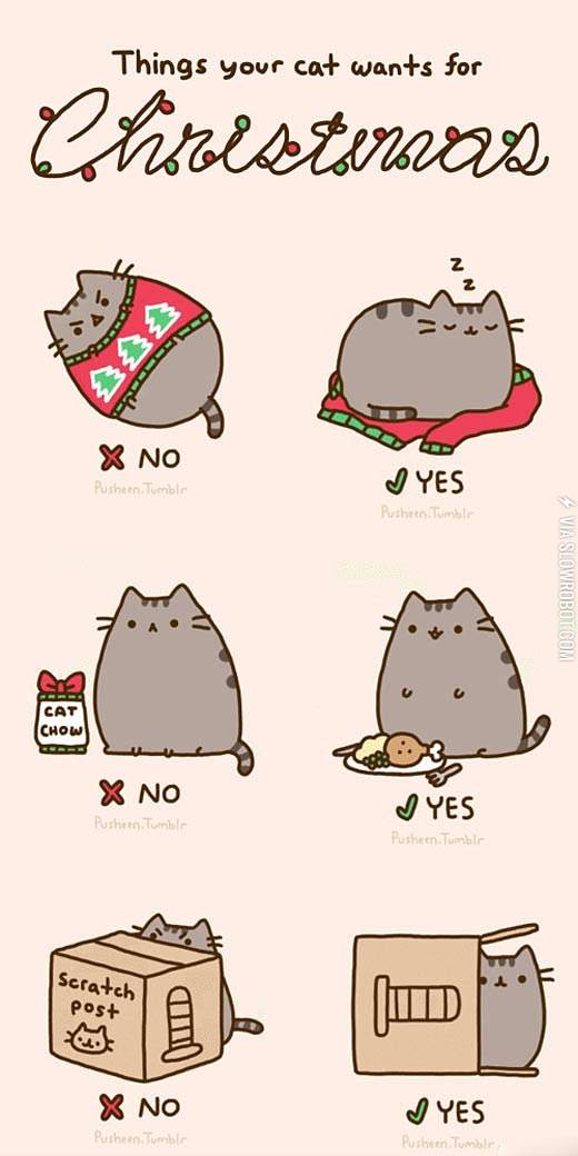 Things+your+cat+wants+for+Christmas.