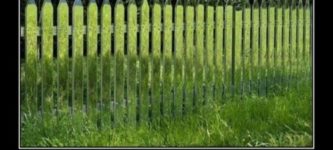 Grass+Fence