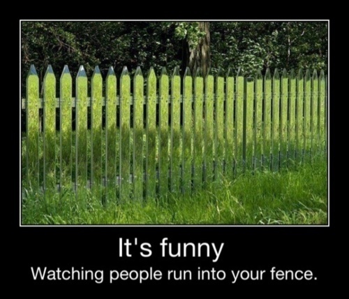 Grass+Fence