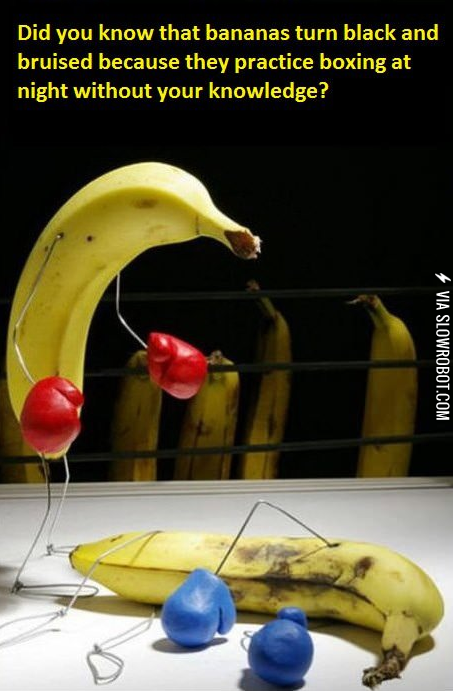 Did+you+know%26%238230%3B