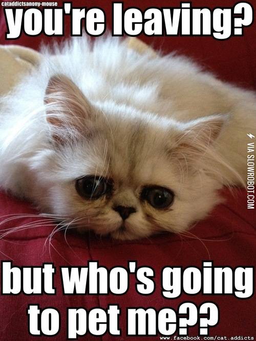 You%26%238217%3Bre+leaving%3F