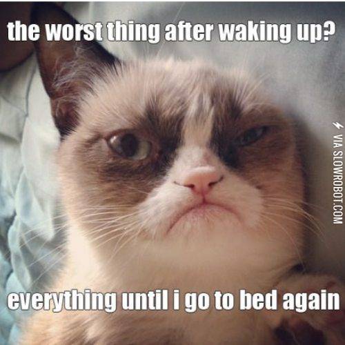 The+worst+thing+after+waking+up%3F
