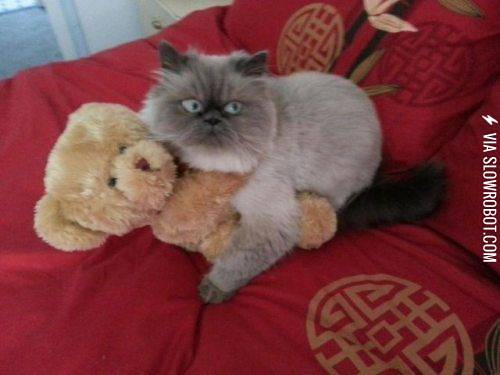 It%26%238217%3Bs+not+what+it+looks+like%21