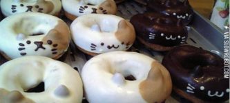 Kitty+Donuts