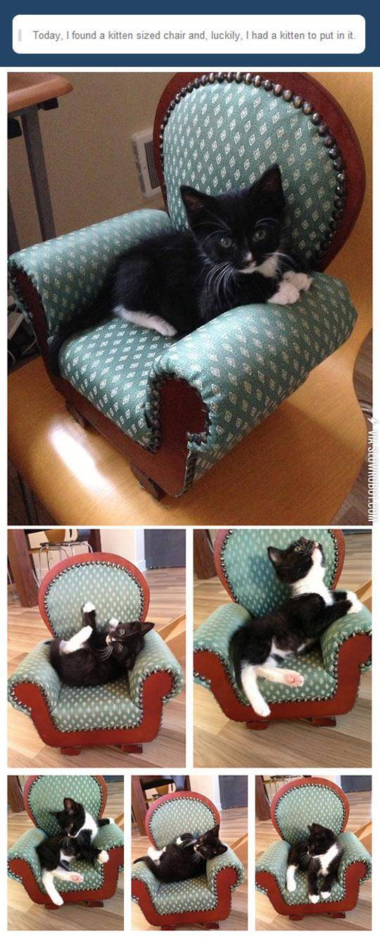 Kitten-Sized+Chair