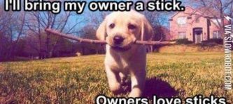 Owners+Love+Sticks