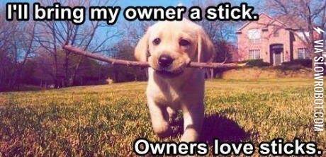 Owners+Love+Sticks
