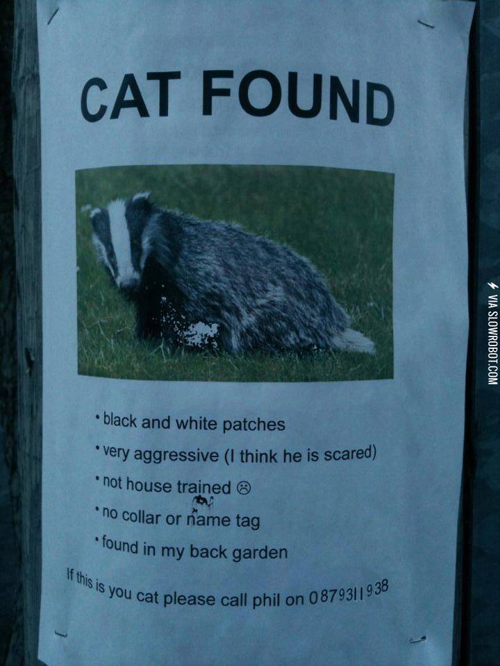 Cat+Found