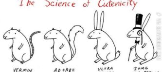 The+science+of+cutenicity.
