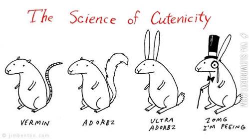 The+science+of+cutenicity.