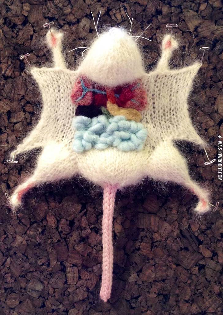 Dissection+of+a+knitted+mouse.