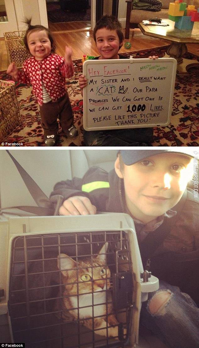 1%2C000+Likes+to+get+a+cat.