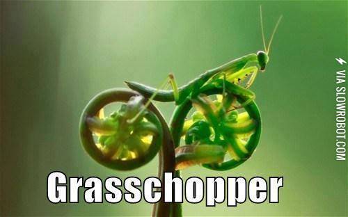 Green+County+Choppers.