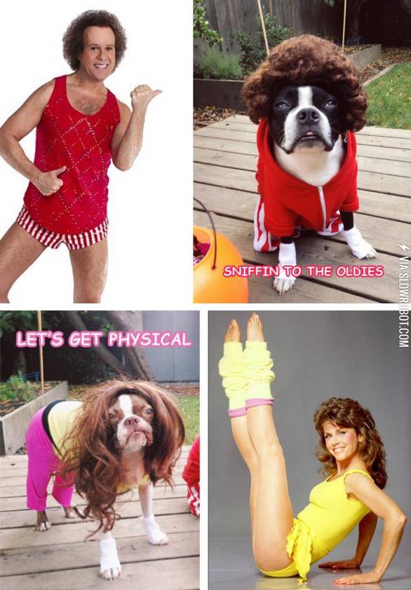 Work+it+doggy%2C+work+it%26%238230%3B