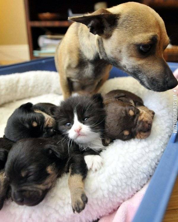 Day+12%2C+they+still+have+no+idea%3B+and+I+hate+it+here.