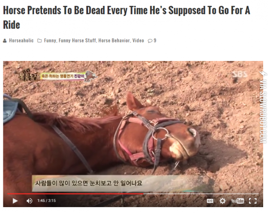 I+can+relate+to+this+horse