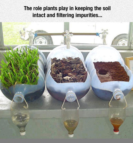 Vegetarians+are+ruining+this+planet.