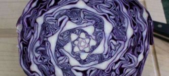 Cabbage+geometry