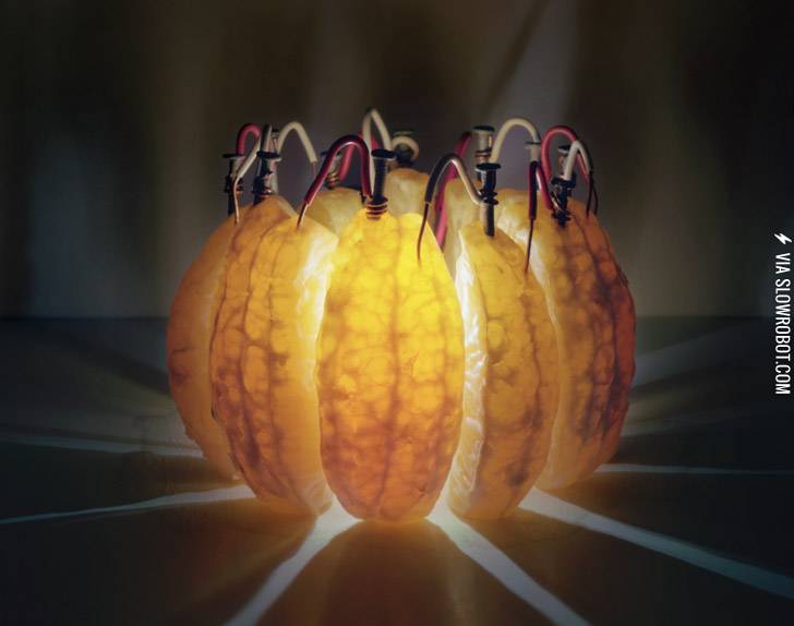 The+orange+light%3A+A+citric+acid+battery+by+Caleb+Charland.