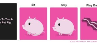 Tricks+to+teach+your+pet+pig.