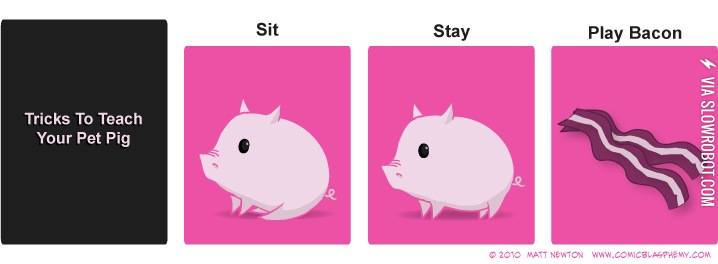 Tricks+to+teach+your+pet+pig.