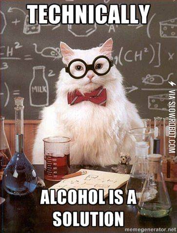 Chemistry+Cat+on+alcohol.