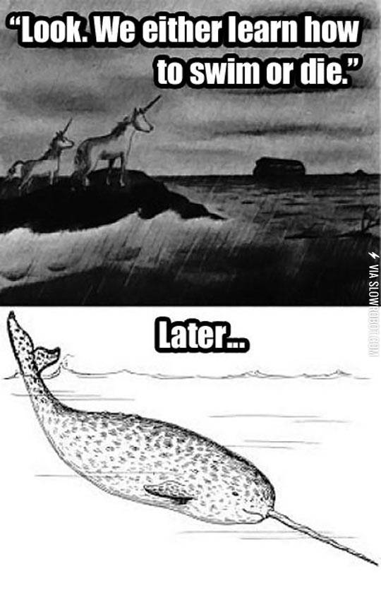 What+happened+to+the+unicorns.