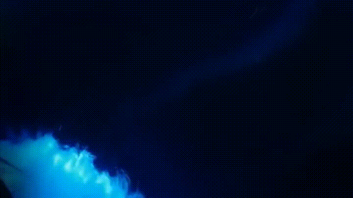 Dolphins+swimming+at+night+with+luminous+plankton