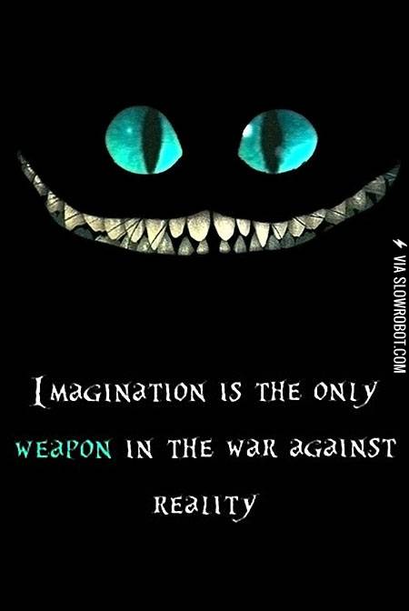 Imagination+is+the+only+weapon+in+the+war+against+reality.