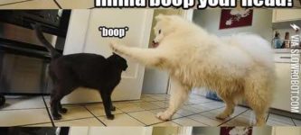 Boop%21