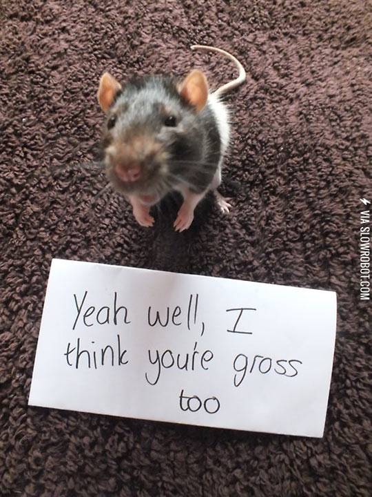 Feelings+are+mutual.