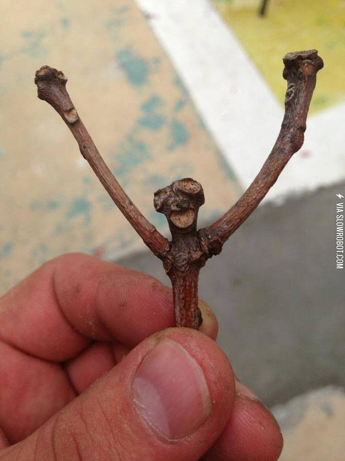 This+stick+is+psyched