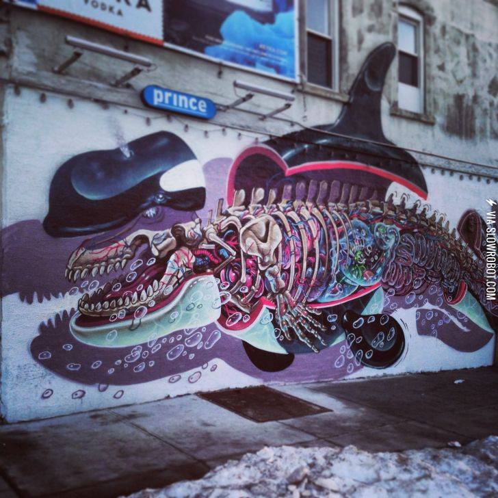 Deconstructed+whale+graffiti