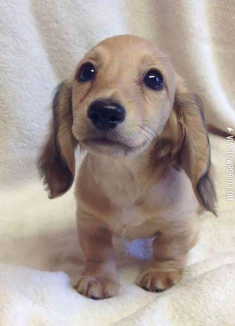 I%26%238217%3Bm+all+ears