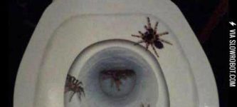 The+Scariest+Toilet+Seat+Cover+Ever
