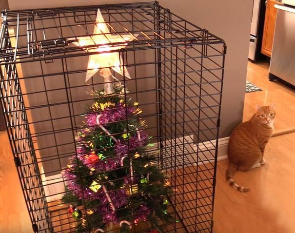 cat-proofing+Christmas