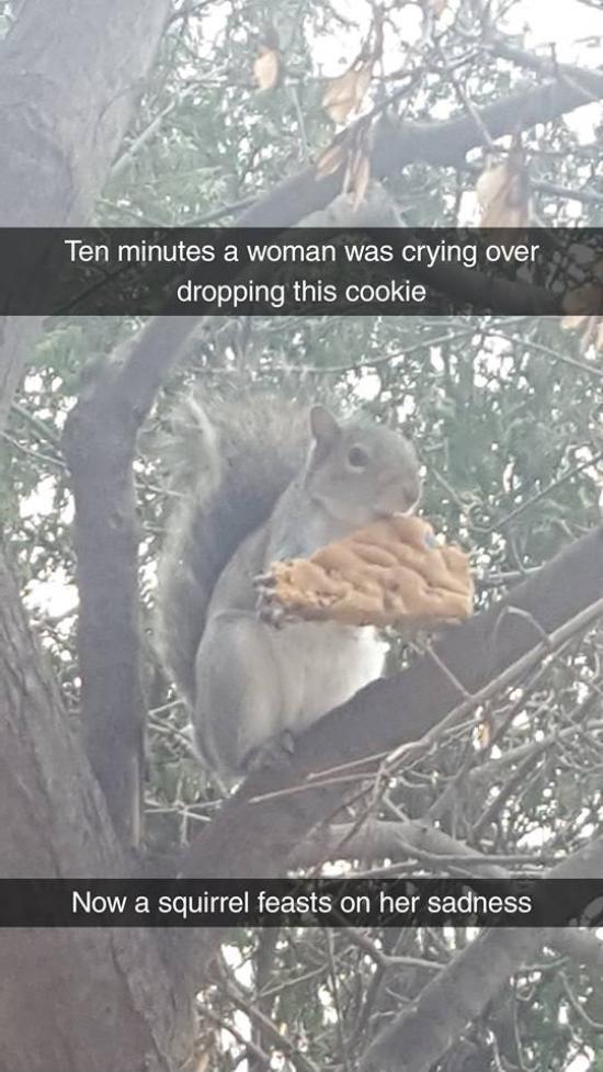 This+was+the+best+part+of+my+day