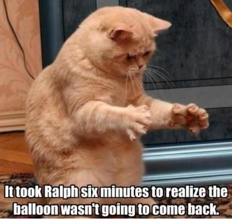 Poor+Ralph