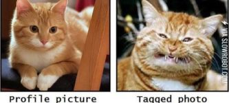 Profile+photo+vs.+Tagged+photo.