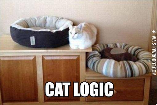 Cat+logic