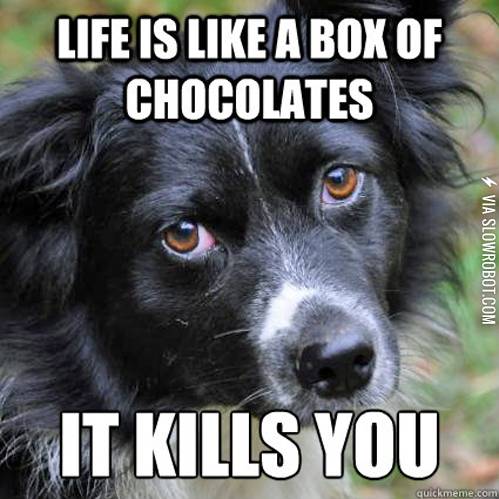 Life+is+like+a+box+of+chocolates.