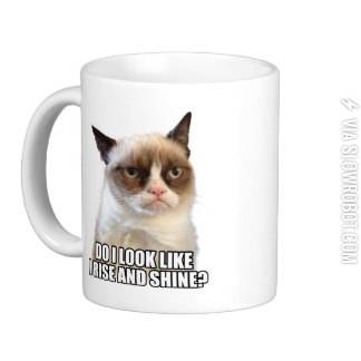 Grumpy+cat+mug