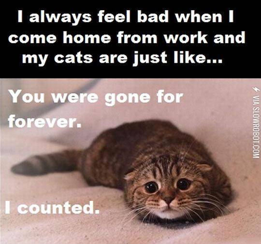 Whenever+I+Leave+My+Cat+Alone